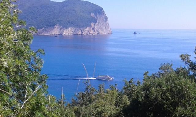 Family Apartment Garden And Sea Petrovac Exterior photo