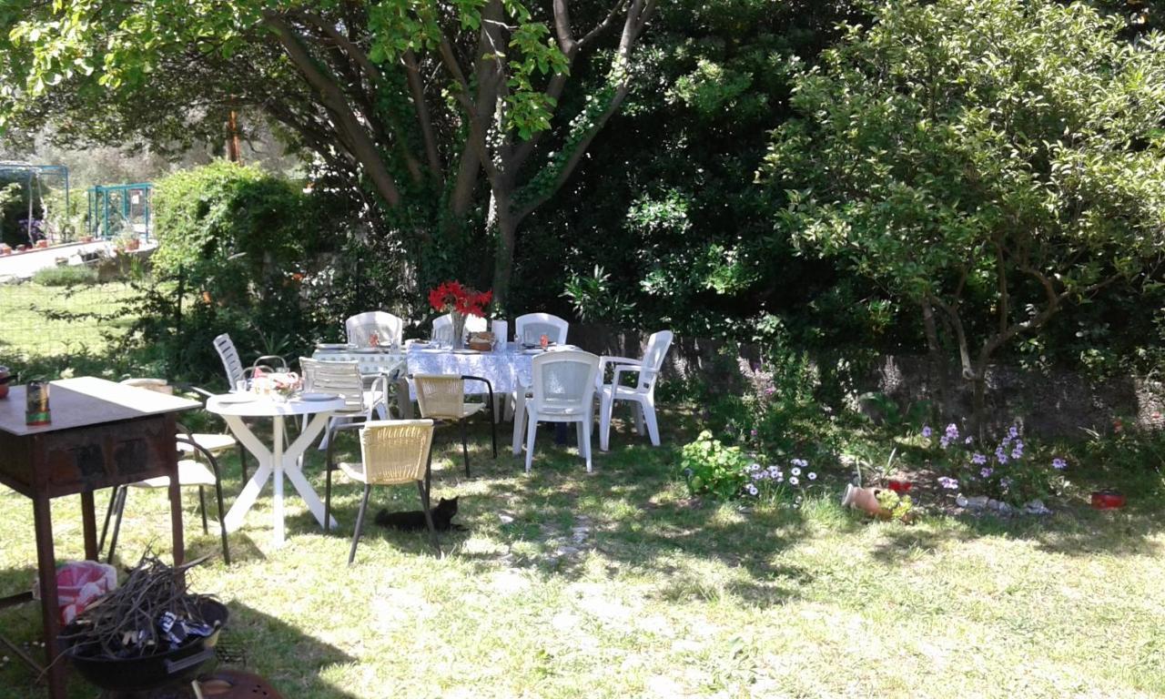 Family Apartment Garden And Sea Petrovac Exterior photo